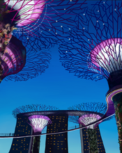 Load image into Gallery viewer, Singapore Gardens by the Bay Art Print