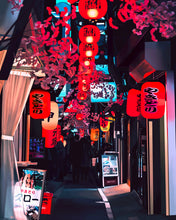 Load image into Gallery viewer, Tokyo Alleyway Art Print
