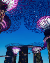 Load image into Gallery viewer, Singapore Gardens by the Bay Art Print
